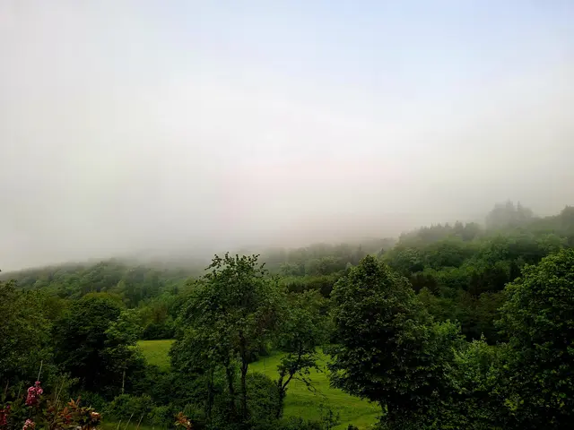 Morgenstimmung hinterm Haus