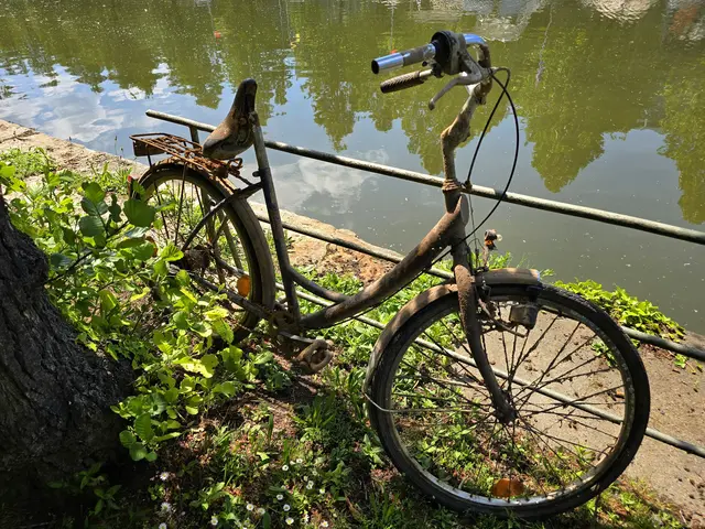 Schrott aus dem Neckar. | Foto: Heidrun Rosenberger 