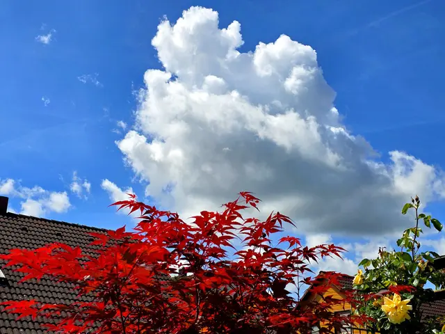 Foto: Heidrun Rosenberger 
