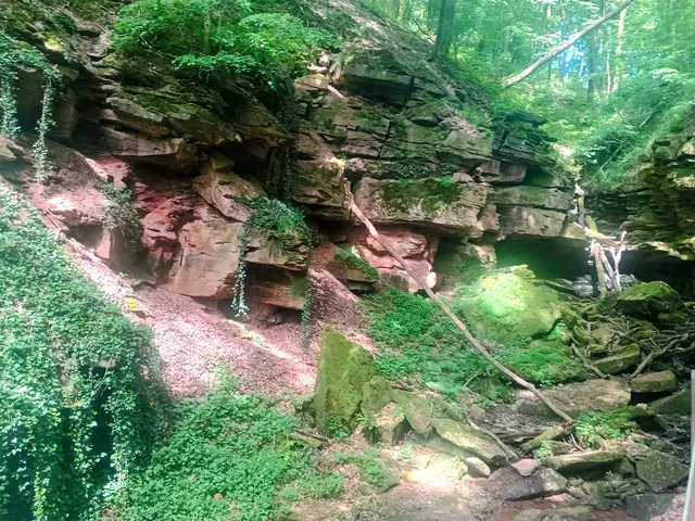 Margaretenschlucht Neckargerach | Foto: Michael Ruhland