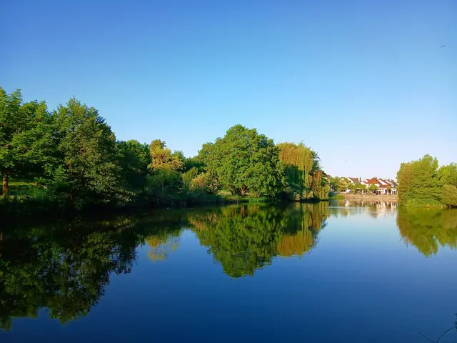 So ruhig liegt der See am frühen Morgen unter dem blauen Himmelszelt.  | Foto: Sigischlottke 