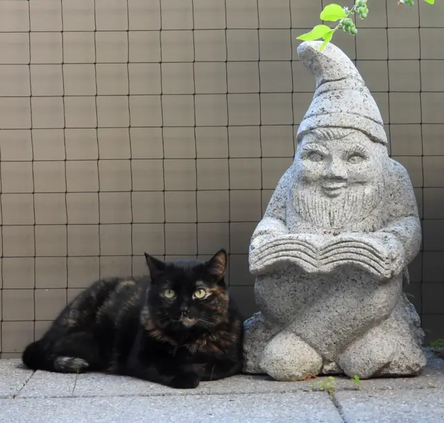 Ein schattiges Plätzchen und ein gutes Buch. Was braucht es mehr in diesen Tagen? | Foto: Martina Wolf 