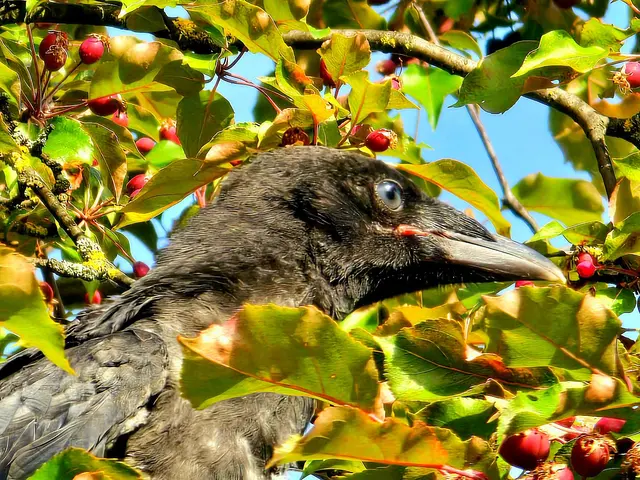 Foto: Heidrun Rosenberger 