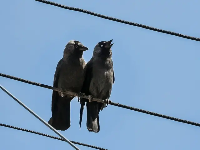 Meinst Du der Wetterbericht hat Recht? | Foto: Martina Wolf 